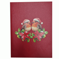 pop-up kerst vogels kaart